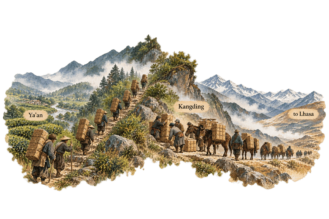 A painted mountain landscape: porters carry tall bales of tea up a steep trail from Ya’an’s green tea hills; at Kangding the bales are loaded onto mules, and a mule train heads on toward the snowy peaks on the way to Lhasa